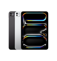 iPad Pro 11 M4 (2024) Wi-Fi 2TB with Standard Glass Silver (MVVH3)