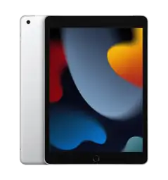 Ipad 10.2 (2021) 64 Silver (MK2L3) БУ