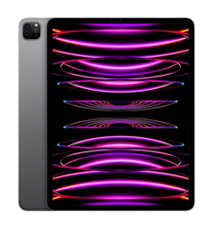 iPad Pro 12,9 M2 (2022) Wi-Fi + LTE 128GB Space Gray (MP1X3) Б/У