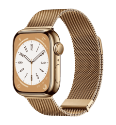 Ремінець Wiwu для Apple Watch 42/44/45/49mm Milanese Stainless Steel watch band Gold