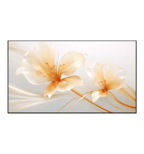 Екран для проектора XGIMI 100 дюймів UST ALR Screen (P165S)