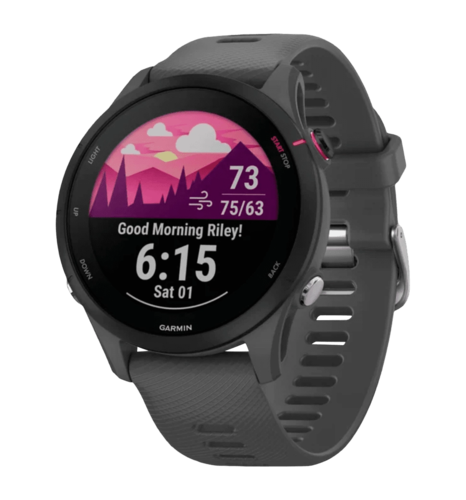 Смарт-годинник Garmin Forerunner 255 Slate Gray (010-02641-00/10/43)