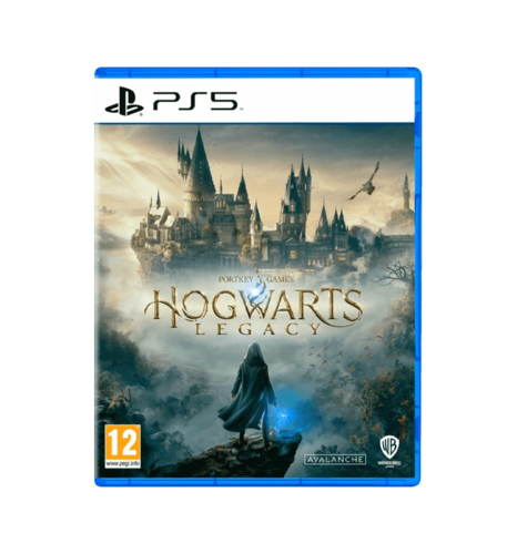 Гра для PS5 Hogwarts Legacy (Blu-ray диск)