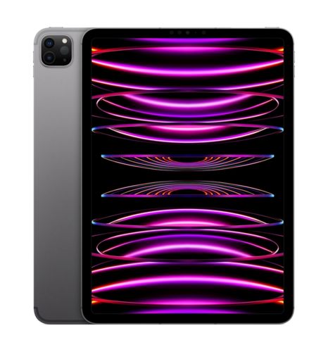 Ipad Pro 11 M2 (2022) Wi-Fi + Cellular 128 Space Gray (MNYC3)