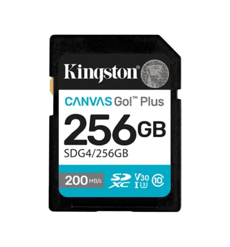 Карта пам'яті 256GB SDXC Canvas Go Plus Gen4 200MB /s C10 UHS-I U3 V30 SDG4/256GB