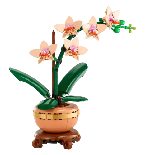 Конструктор LEGO Botanicals Мини орхидея