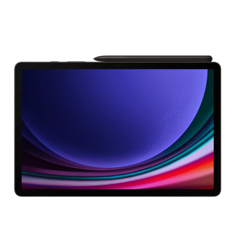 Планшет Samsung  Galaxy Tab S9 5G 256GB Graphite (SM-X716BZAESEK)