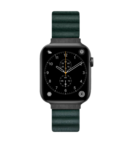 Ремiнець Laut NOVI LUXE  Apple Watch 42/44/45/49mm Green (L_AWL_NL_GN)