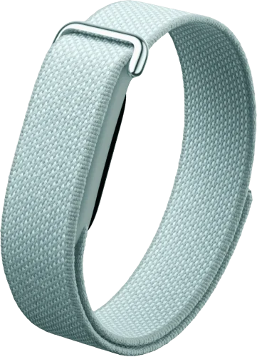 Смарт-браслет Google Fitbit Air Lavender