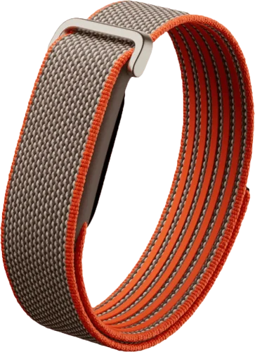 Смарт-браслет Google Fitbit Air (Rye)