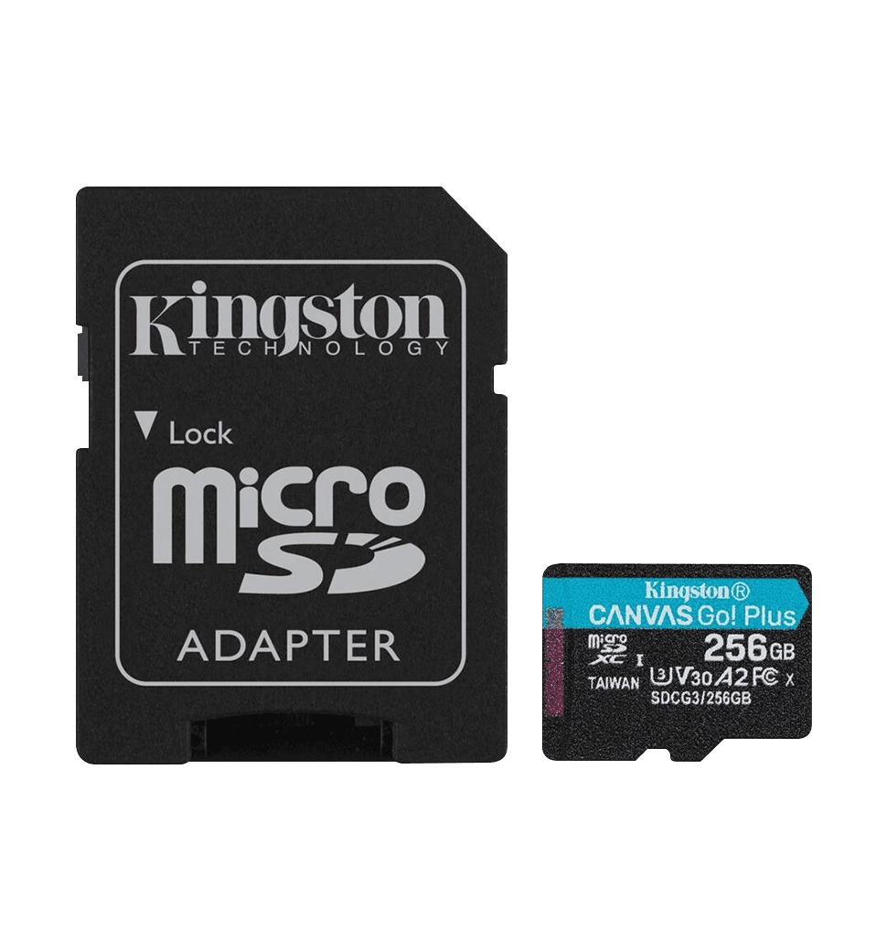 Карта памяти Kingston Canvas Go Plus 256Gb class 10 A2 V30 (R170MB/s, W90MB/s) (SDCG3/256GBSP)