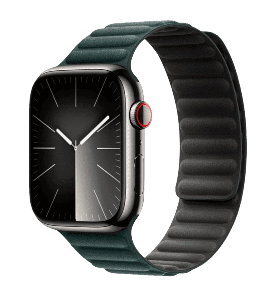 Ремінець Wiwu для Apple Watch 42/44/45/49mm Magnetic Loop Watch Band Evergreen