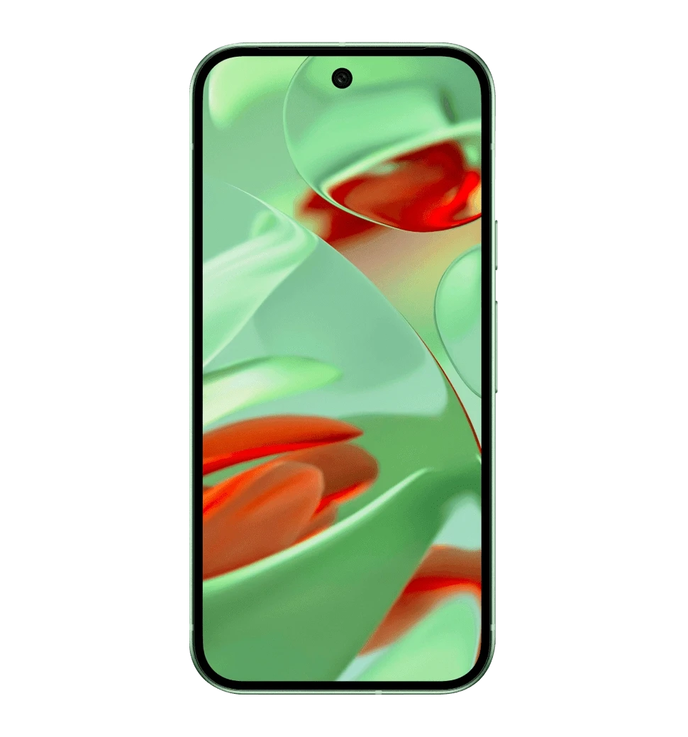 Смартфон Google Pixel 9 12/256GB Wintergreen